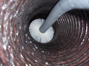 carpet cleaning Pasadena